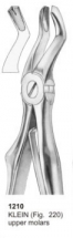  KLEIN (Fig. 220) upper molars 